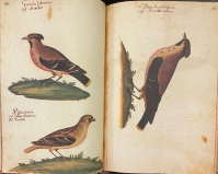 Portada de libro Atlas de Historia Natural. Códice Pomar.